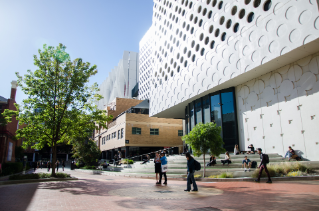 Diploma of Information Technology