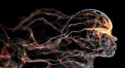 Artificial Intelligence / Neural Network / Human Face (Orange)