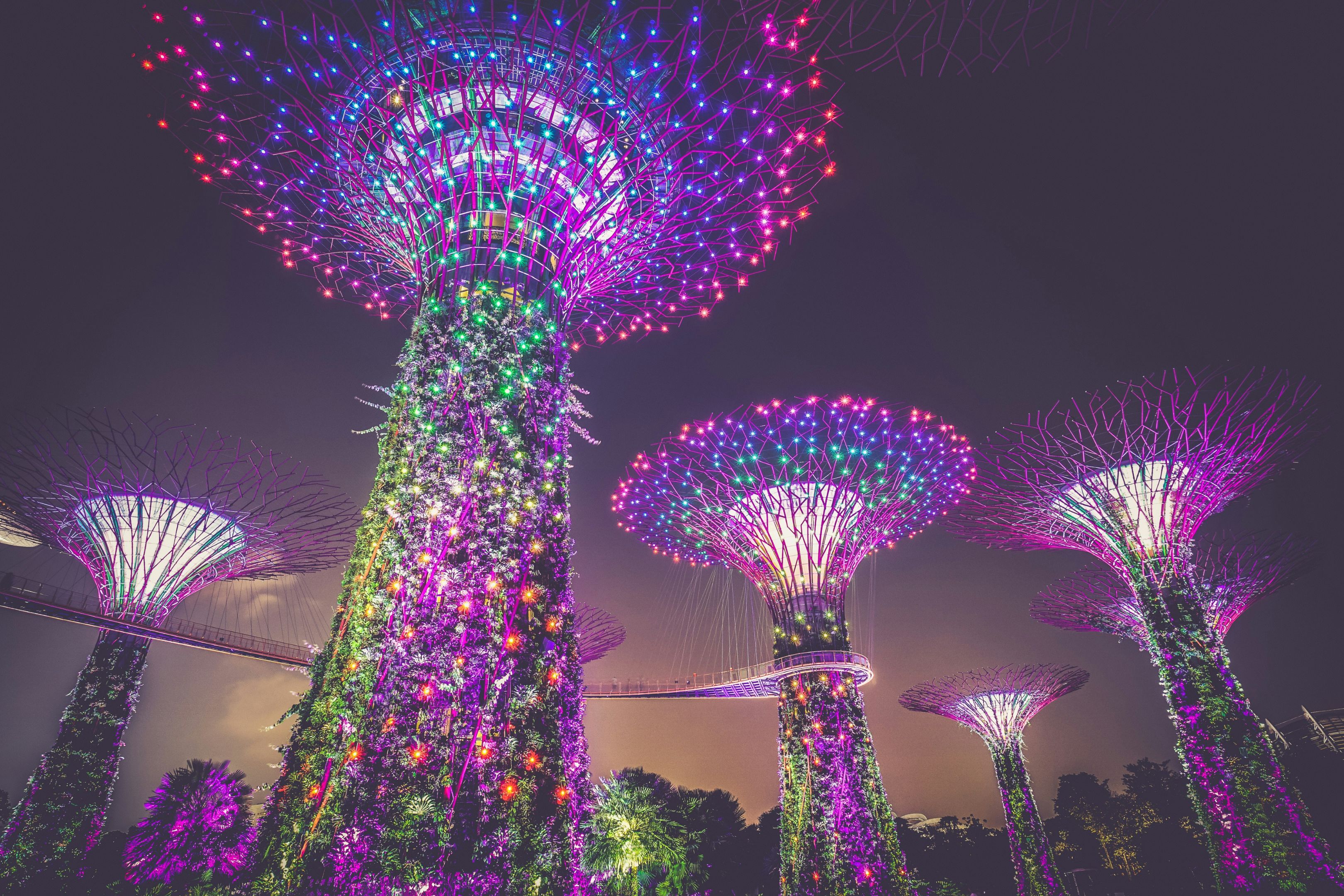 Gardens by the Bay Singapore at night Image of the lit up Gardens by the Bay Singapore at night