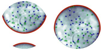 Anyon Technologies figure 4
