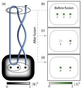 Anyon Technologies figure 5