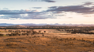 Report: Australian Leadership Index: 2020 national survey report 