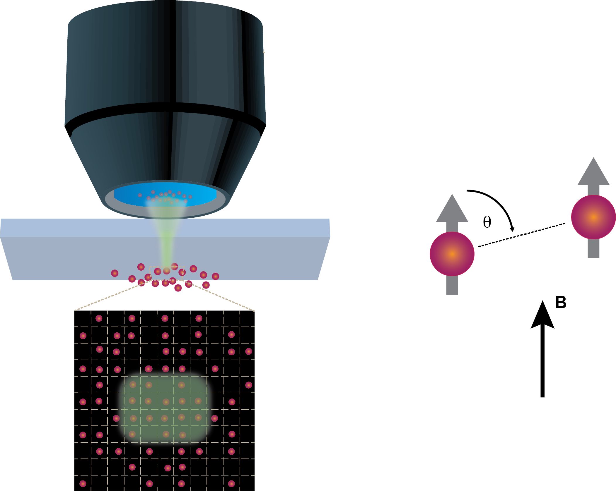 Principle of quantum gas microscopy A scientific diagram that shows the principle of quantum gas microscopy using various shapes and symbols