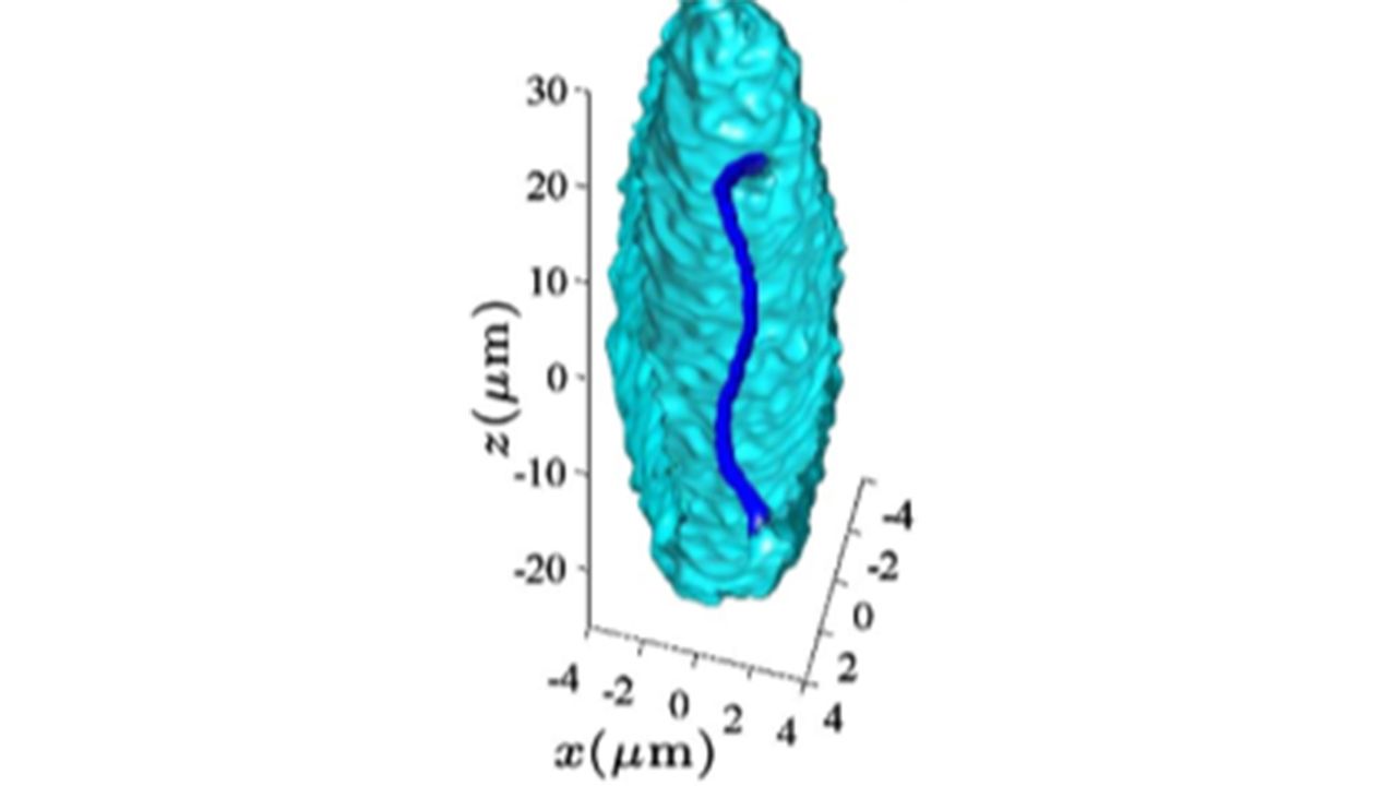 Anyon Technologies figure 2