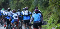 A group bike ride on a road