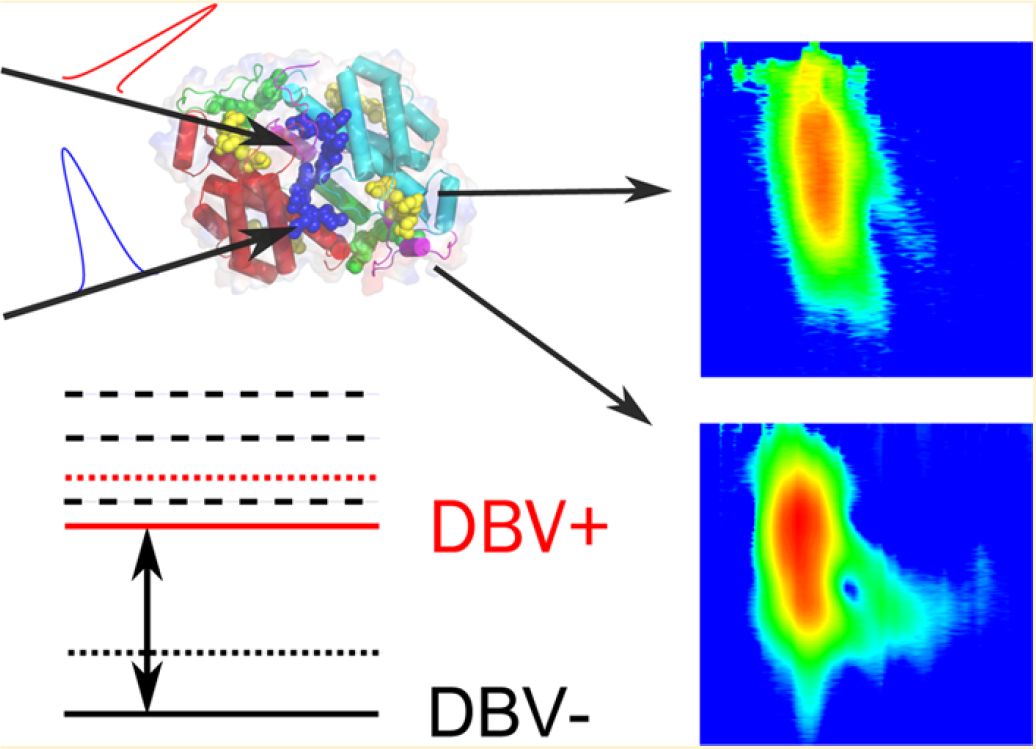 Ultrafast Spectroscopy figure 6