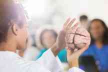 Confident female medical school professor with human brain model