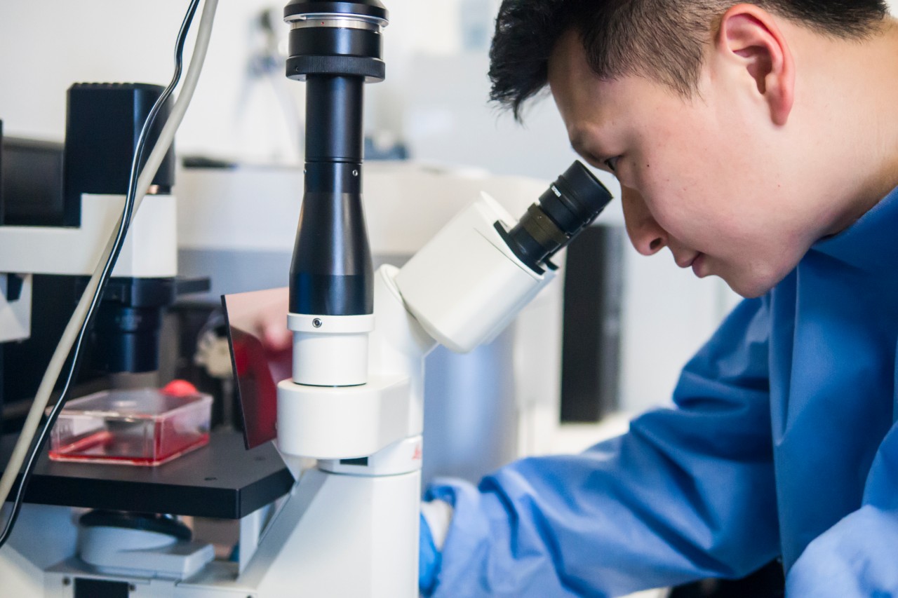 Swinburne science students hard at work in the university's laboratory facilities.